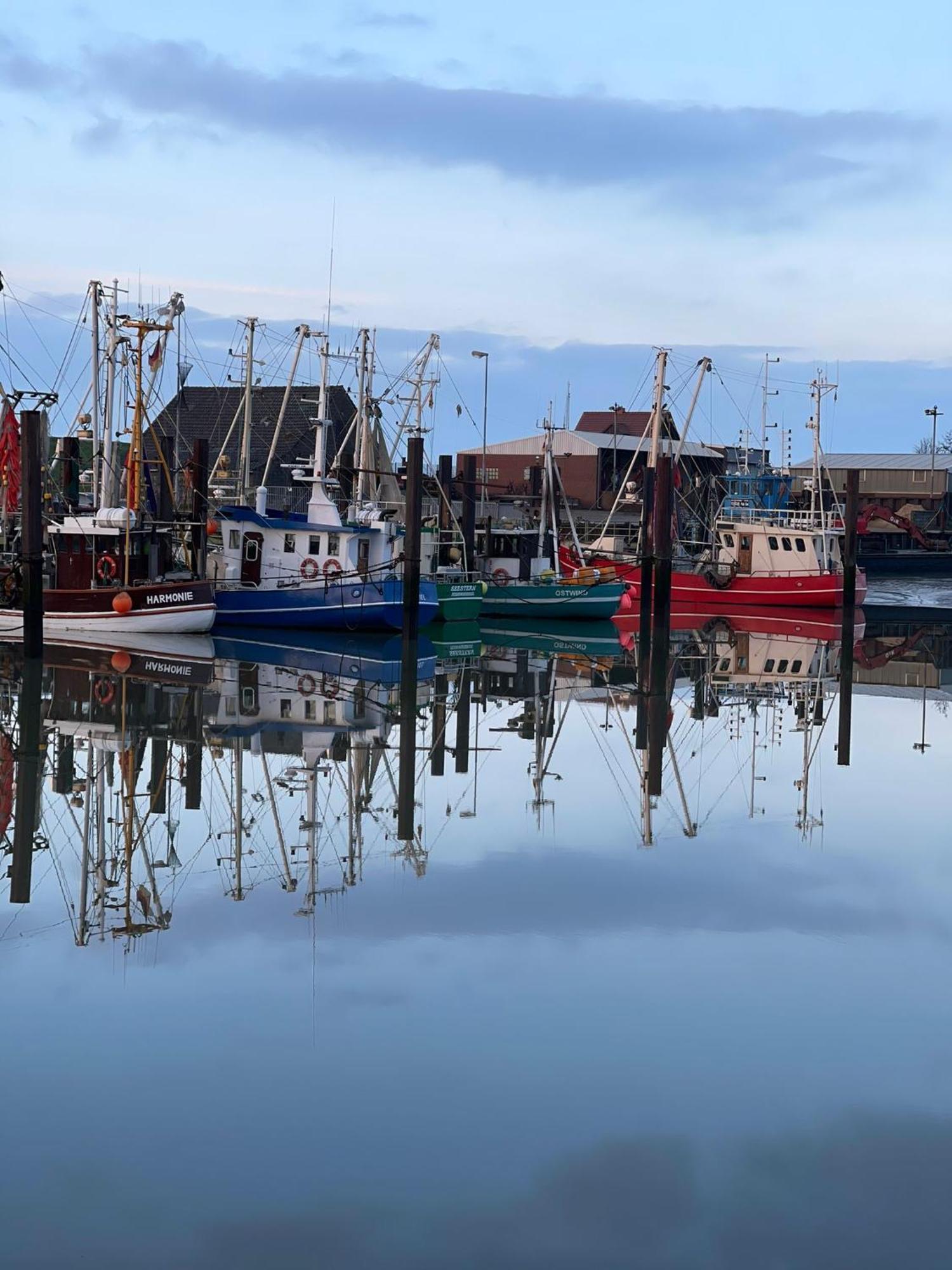 Ferienwohnung Hein Am Nordseedeich Butjadingen Eksteriør bilde