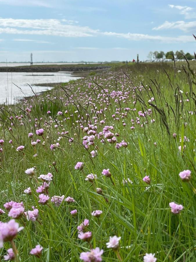 Ferienwohnung Hein Am Nordseedeich Butjadingen Eksteriør bilde